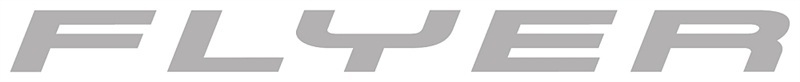 Flyer_Logo